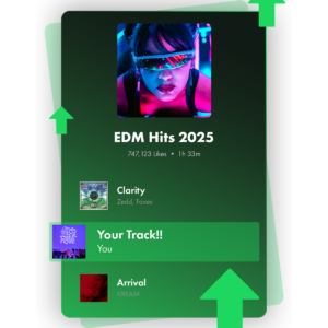 Spotify Promotion Campaign